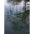 Mirroring